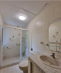 Point Loma (D11), Apartment #596839781